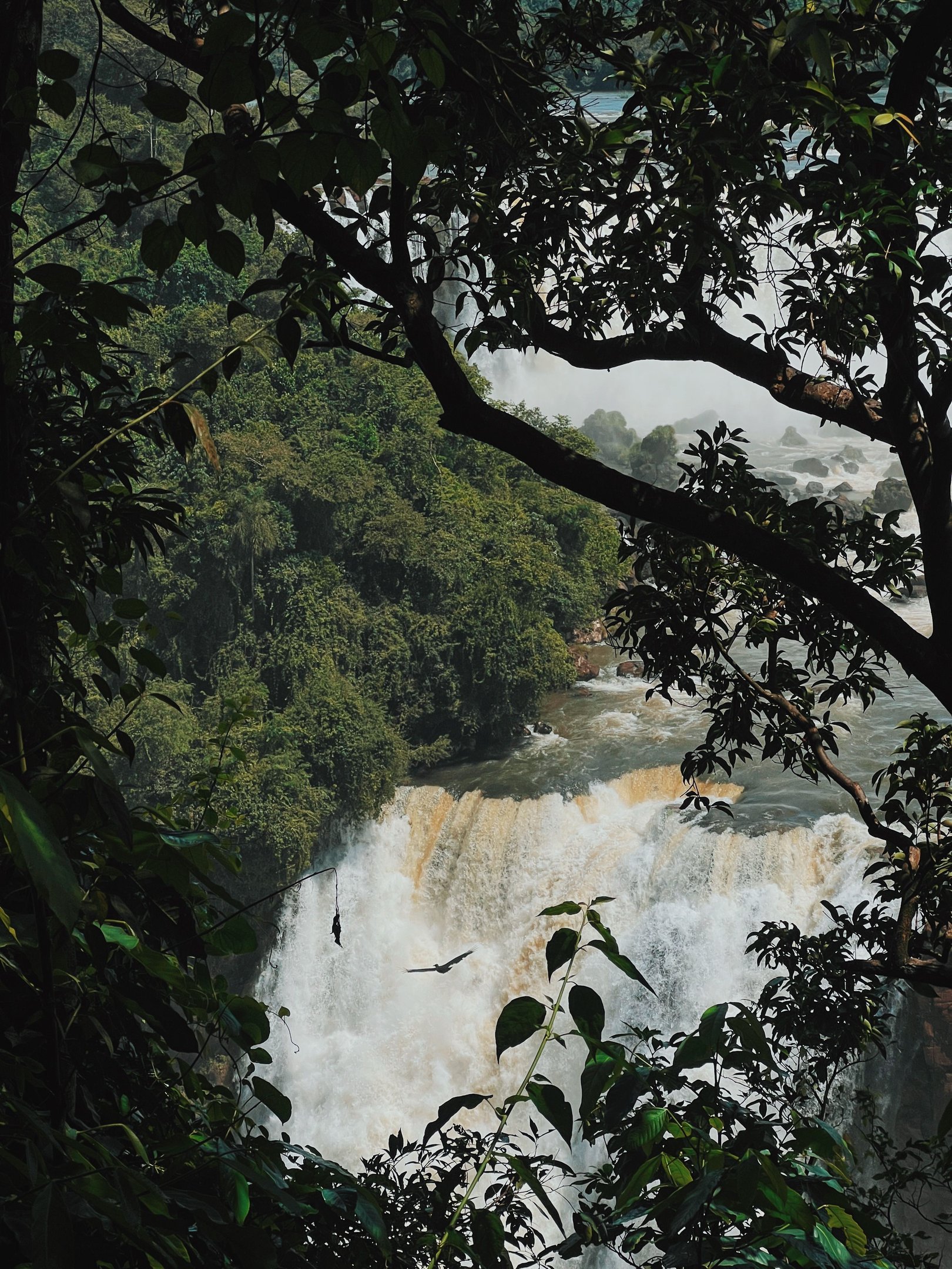 Cataratas do Iguaçu no inverno
