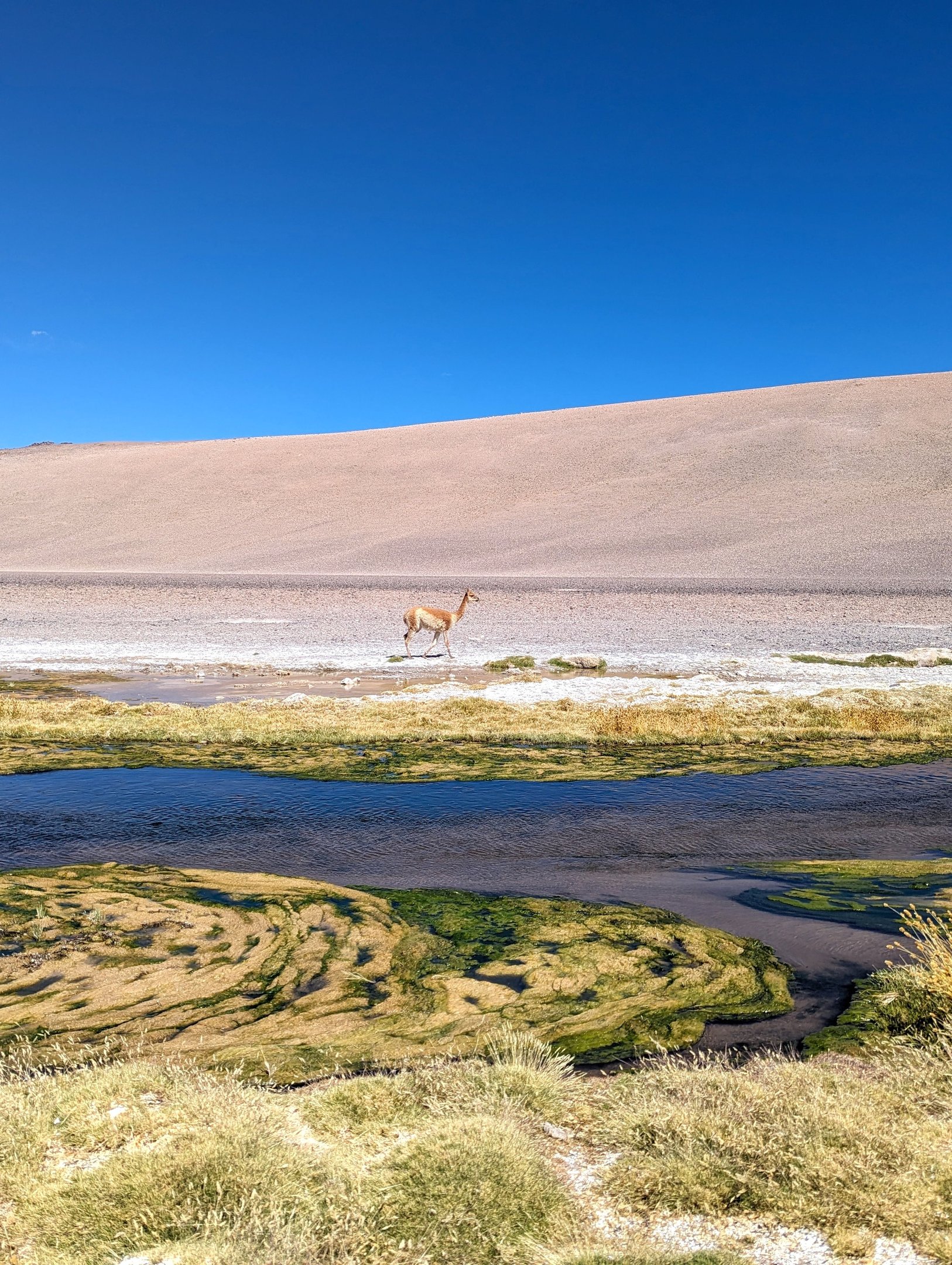 atacama no ver&atilde;o