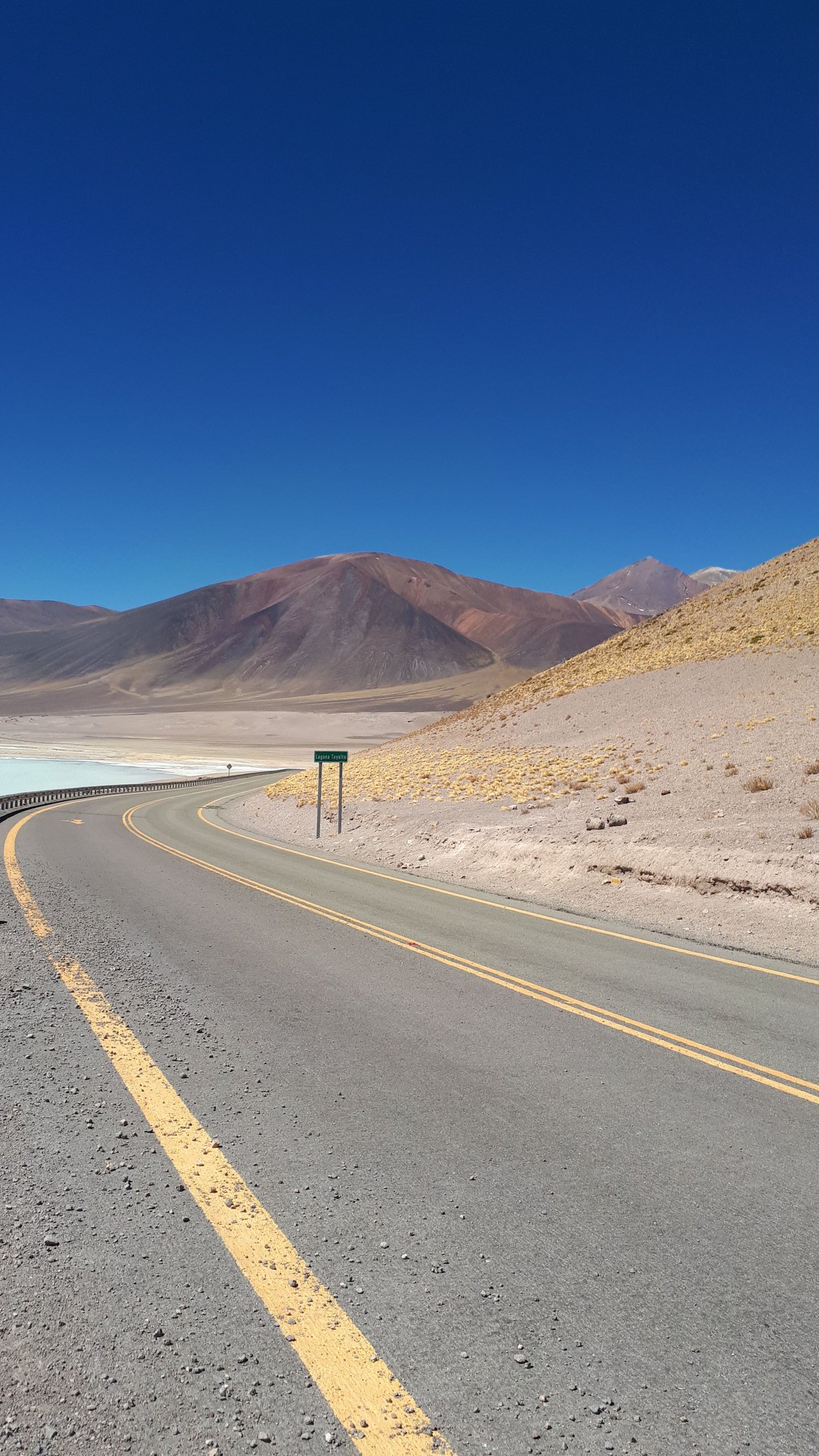 atacama na primavera