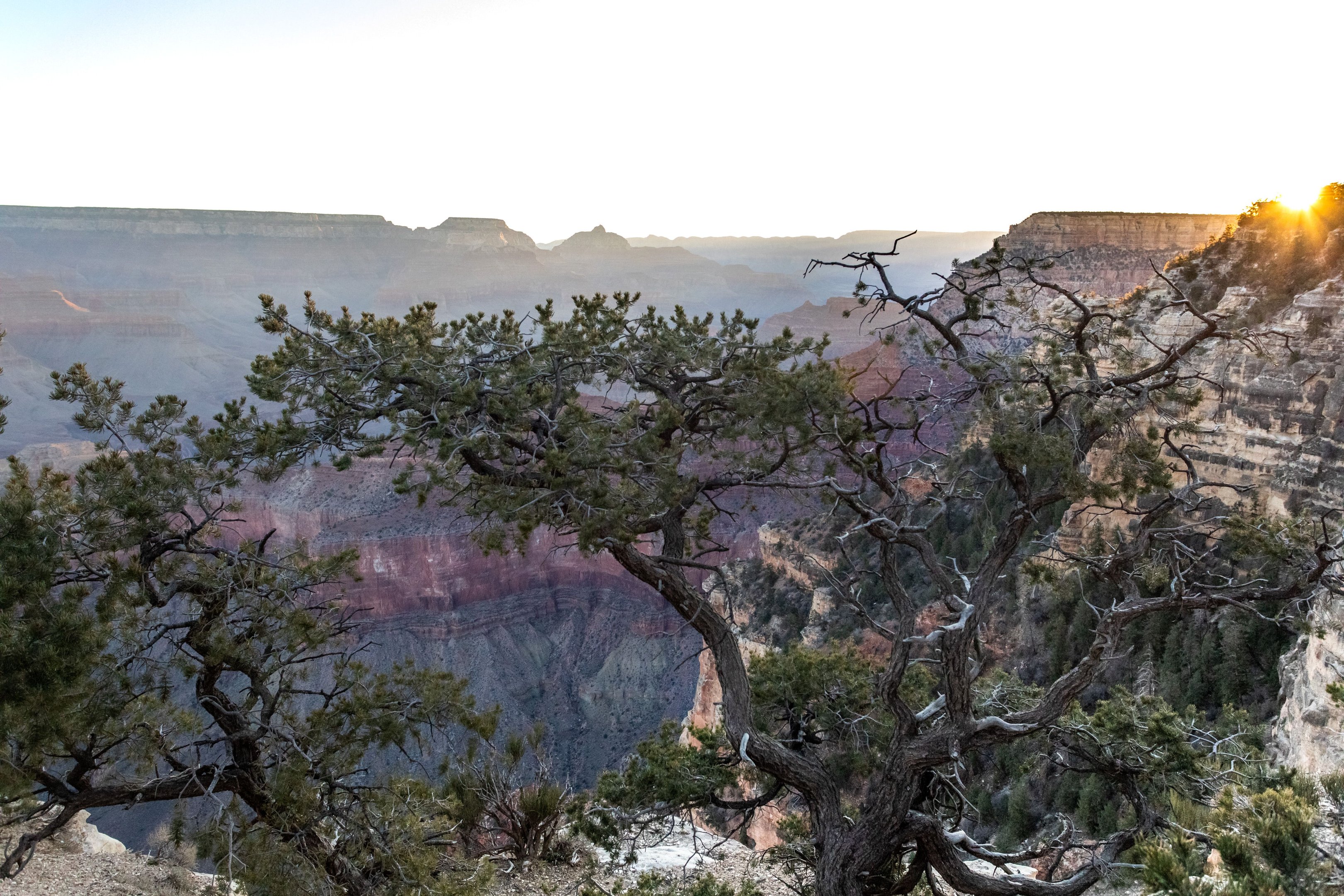 Grand Canyon na primavera