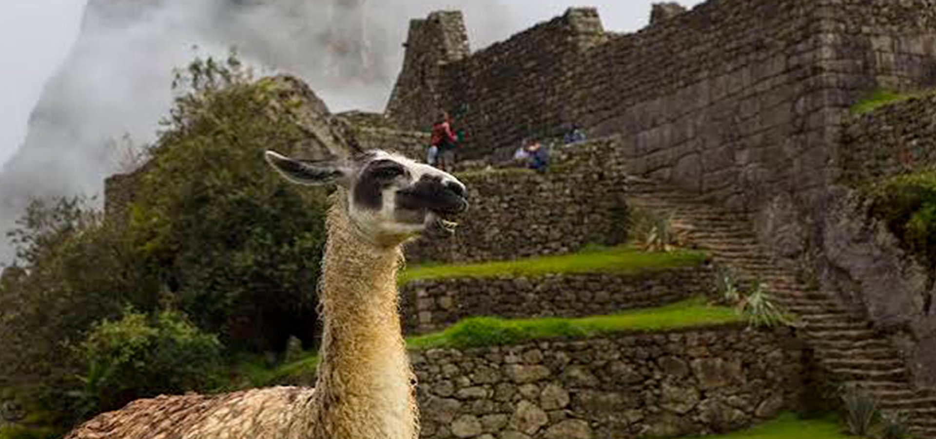 Vista editorial de Machu Picchu